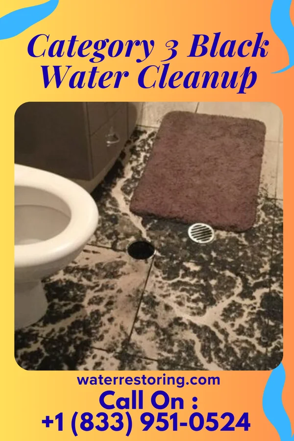 Category 3 Black Water Cleanup in Marshall, TX