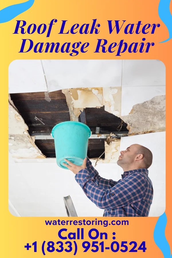Roof Leak Water Damage Repair in Marshall, TX