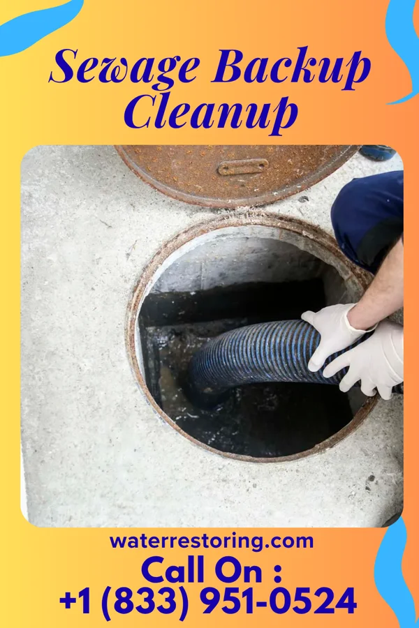 Sewage Backup Cleanup in Marshall, TX